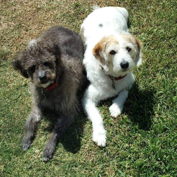 Awareness, Clothes, Randoms, Handbags, Jewelry. You Are Not Alone 🦩💕 - Picture 6 of 16